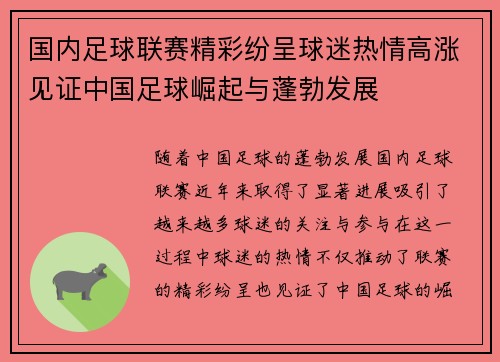 国内足球联赛精彩纷呈球迷热情高涨见证中国足球崛起与蓬勃发展