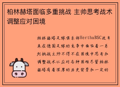 柏林赫塔面临多重挑战 主帅思考战术调整应对困境