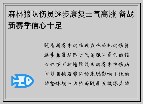 森林狼队伤员逐步康复士气高涨 备战新赛季信心十足